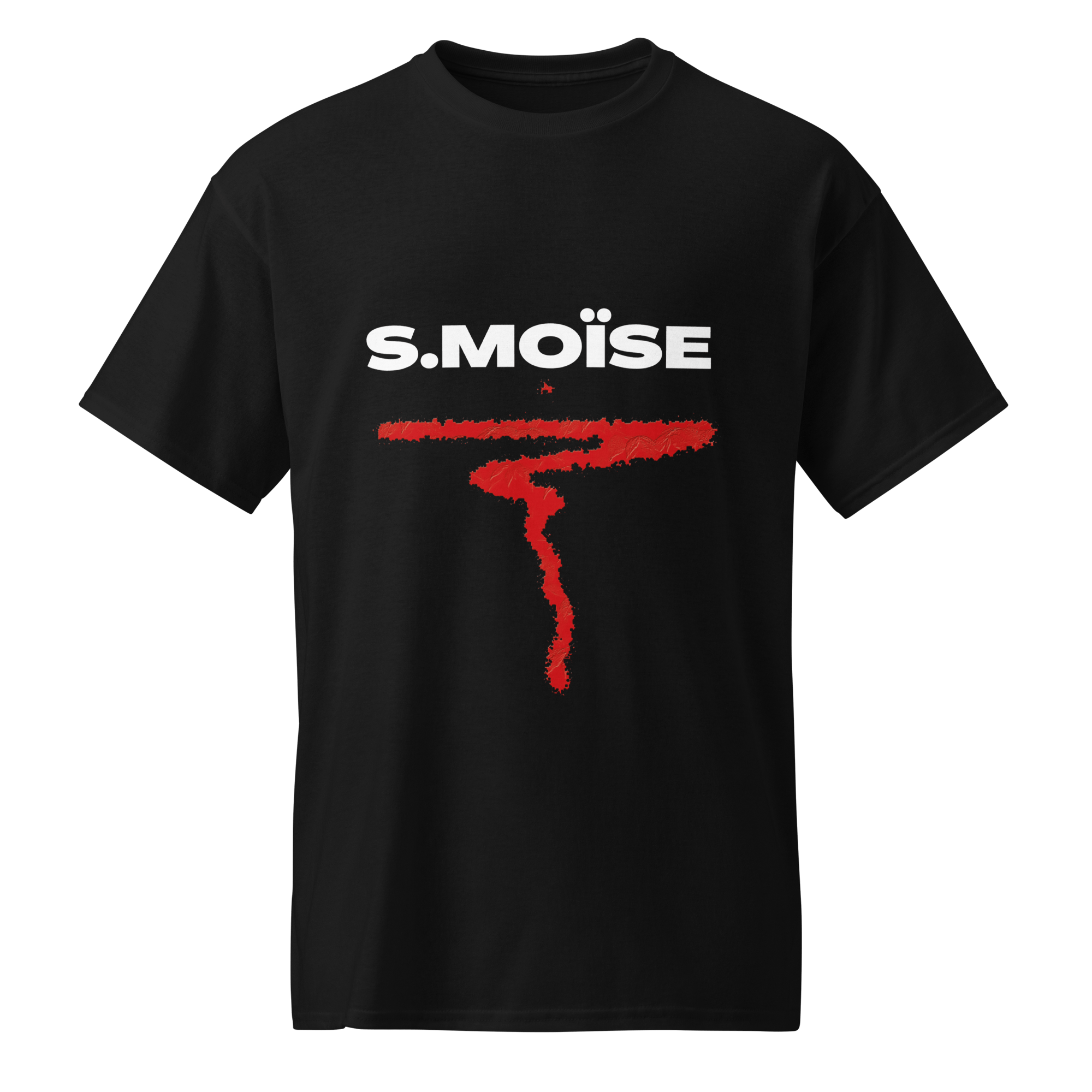 LE MOÏSE