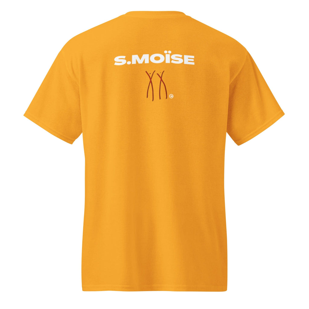 ALL IN COLLECTOR